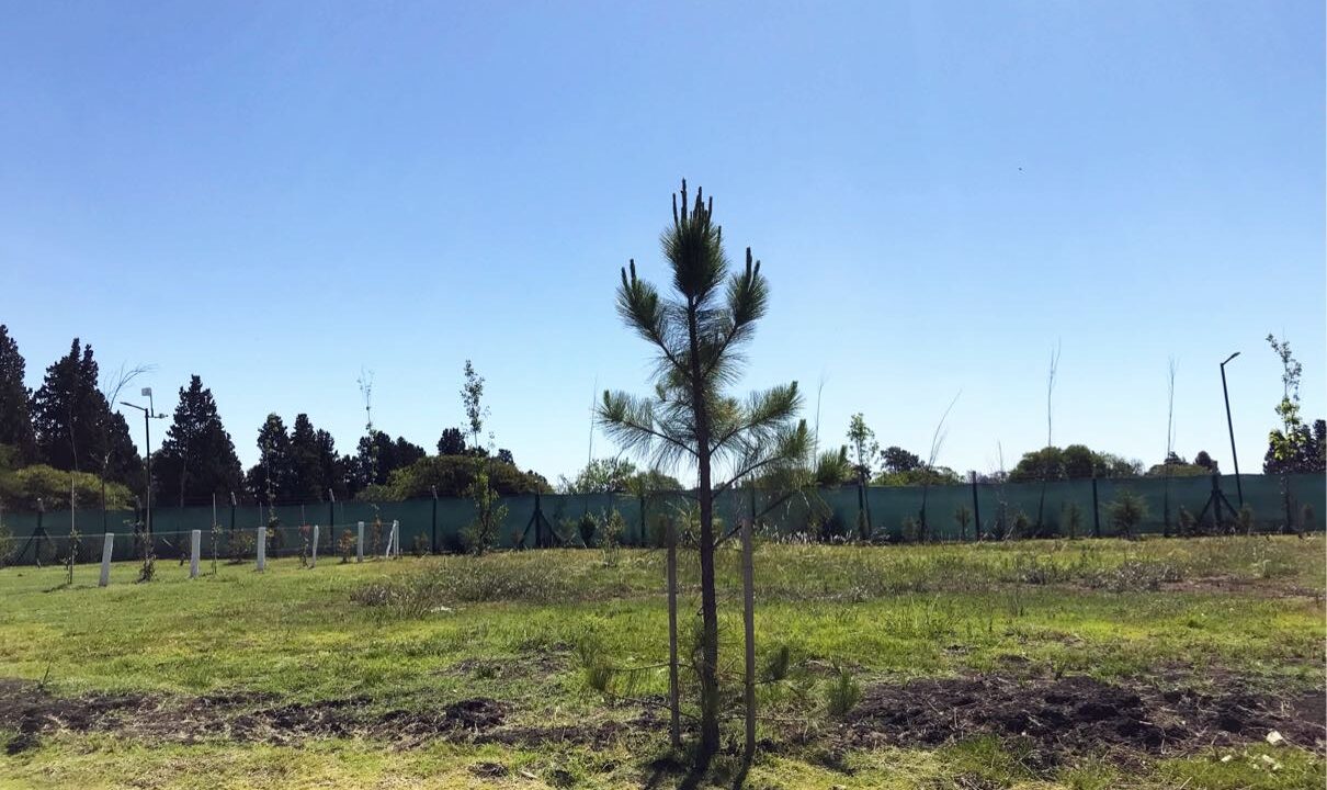 9784C372-CF53-43D6-BF81-99A73067E027