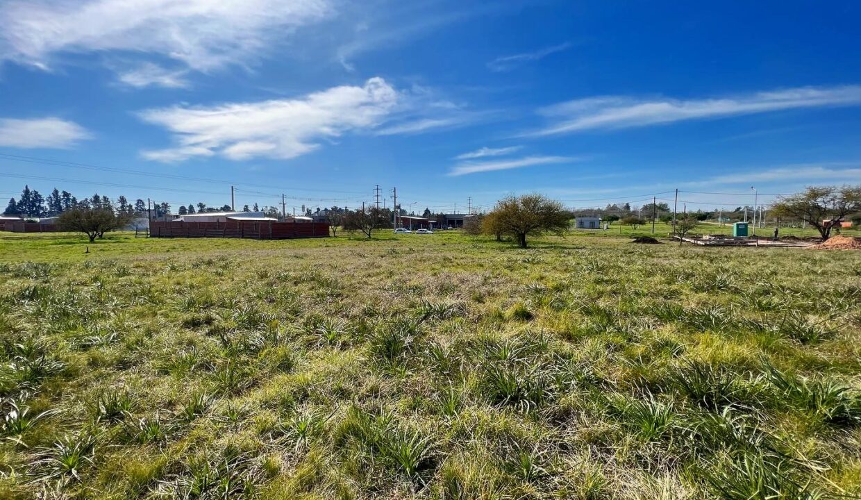 0BD44549-C14D-4721-80DB-D2D3494A17B7 (1)